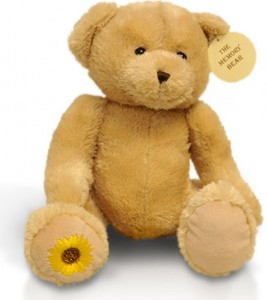 teddy bear to put ashes in