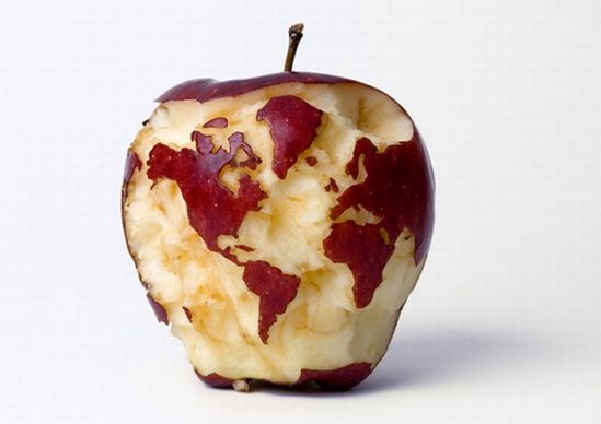 apple globe