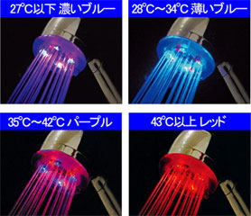 color fusion shower1