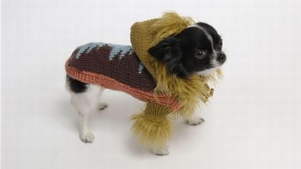 dogsweater