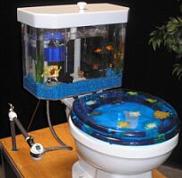 fish n flush aquarium