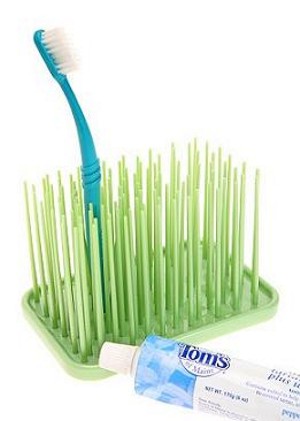 grassy green toothbrush holder DBane 2263