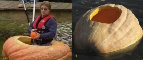 in a pumpkin boat for charity ELI7g 59