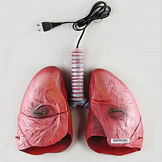 light up your lungs by courage india
