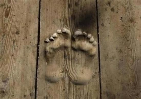 monks footprint in wood