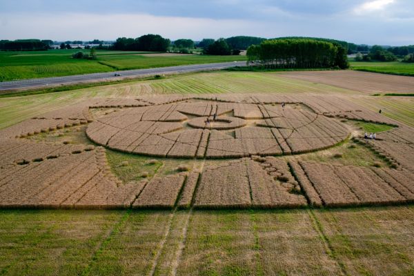 Mysteries of Crop Circles (1)