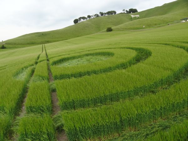 Mysteries of Crop Circles (2)