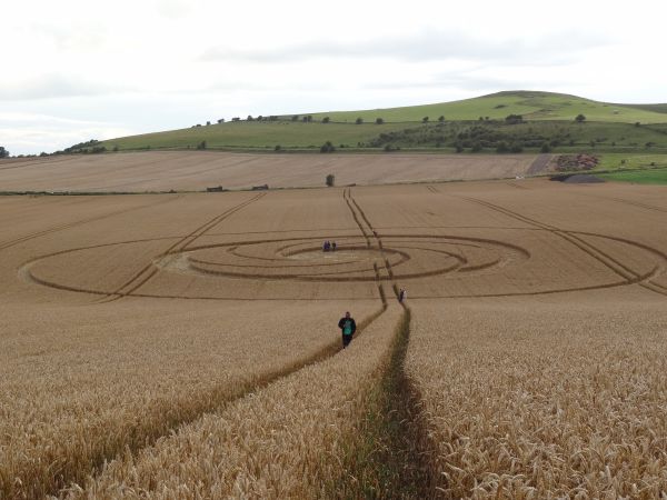 Mysteries of Crop Circles (3)