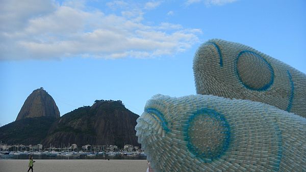 Giant fish at Brazil