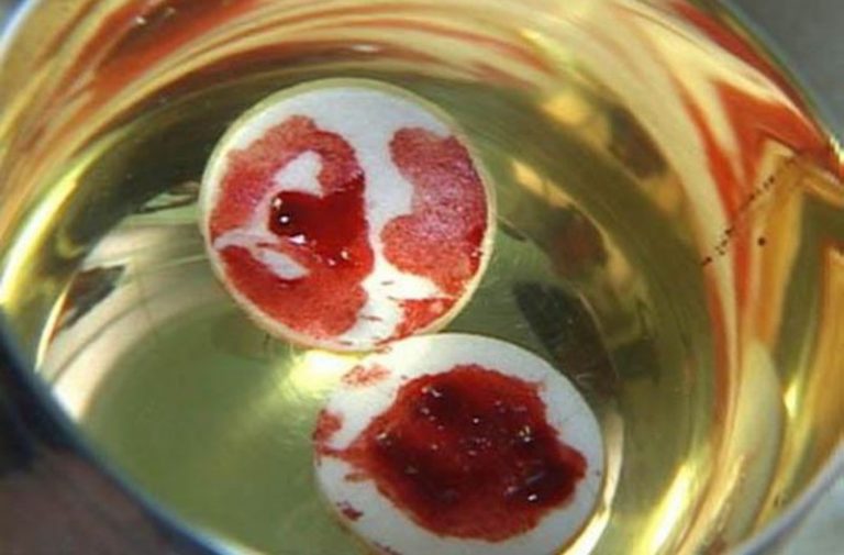 5 Famous Eucharistic miracles that defied science