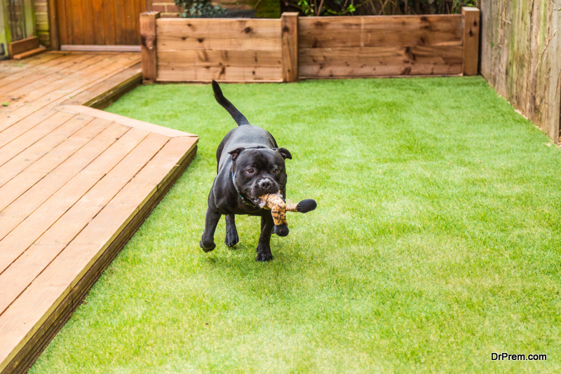 Artificial-Turf-for-Dogs