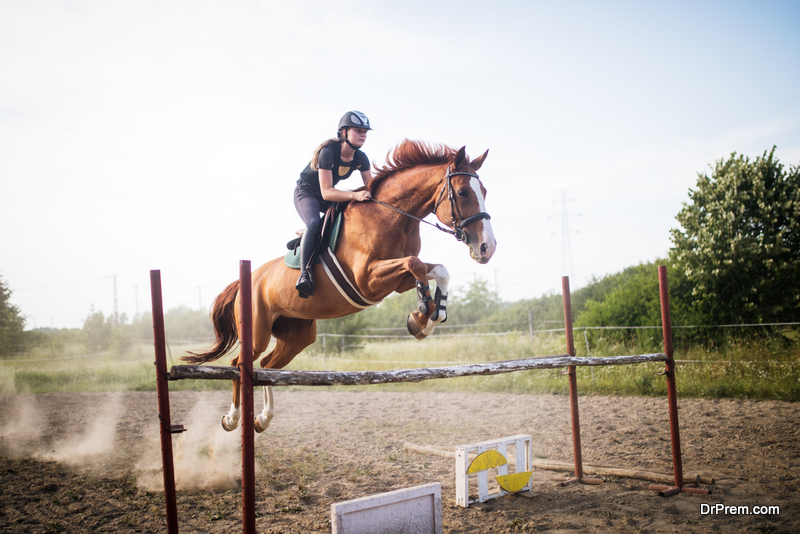 Horse-Jumping