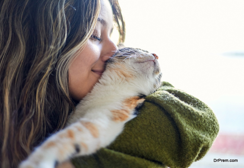 Here’s How To Teach Your Cat Or Kitten To Enjoy When You Hold Them